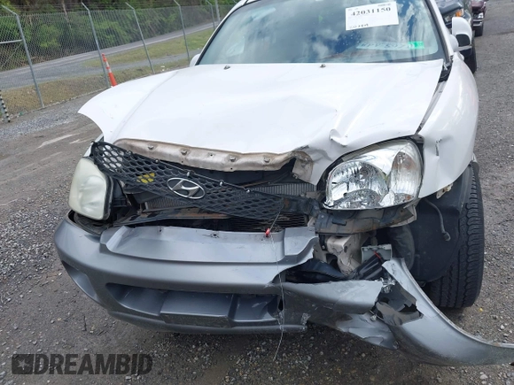 2004 Hyundai Santa Fe GLS with VIN KM8SC73D04U848820, listed as a IAAI auction lot 42031150 with 203,829 mi miles and . Bid and sale history available at DreamBid. Image 6.