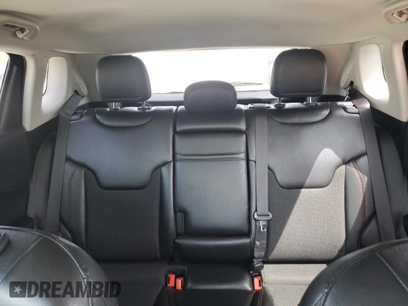 2019 Jeep Compass Trailhawk with VIN 3C4NJDDB9KT668729, listed as a Copart auction lot 51671255 with 116,398 mi miles and Clean Title. Bid and sale history available at DreamBid. Image 10.