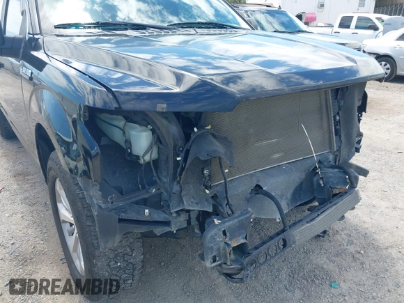 2017 Ford F-150 XL z VIN 1FTEW1EF3HFB49325, wystawiony jako IAAI lot #42242866 z przebiegiem 152 338 mil mil oraz . Historia ofert i sprzedaży dostępna na DreamBid. Obrazek 6.