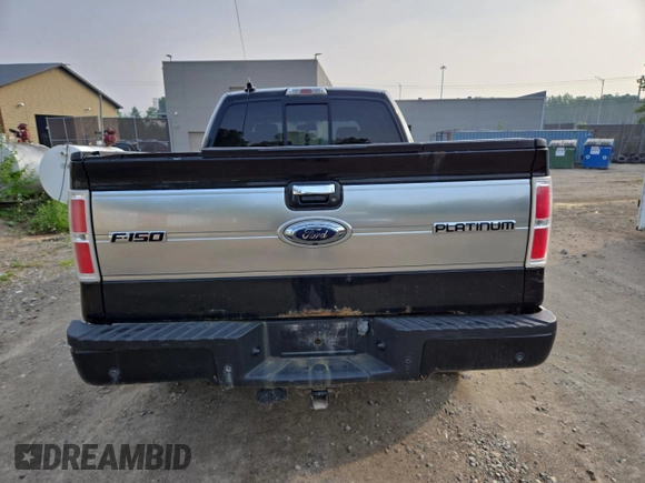 2009 Ford F-150 XL with VIN 1FTPW14V29FB29022, listed as a Copart auction lot 59518745 with 225,701 mi miles and Salvage title. Bid and sale history available at DreamBid. Image 6.