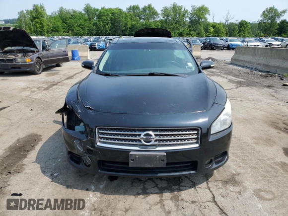 2010 Nissan Maxima SV with VIN 1N4AA5AP0AC834558, listed as a Copart auction lot 59543425 with 171,377 mi miles and Salvage title. Bid and sale history available at DreamBid. Image 5.