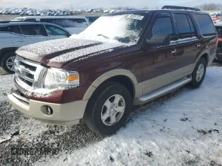 2009 Ford Expedition Eddie Bauer z VIN 1FMFU18599EB02316, wystawiony jako Copart lot #48568075 z przebiegiem 182 485 mil mil oraz Nie do naprawy • Non repairable. Historia ofert i sprzedaży dostępna na DreamBid. Obrazek 1.