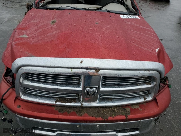 2010 Dodge Ram 1500 SLT with VIN 1D7RV1CT9AS133534, listed as a Copart auction lot 44978955 with 0 mi miles and Salvage Title. Bid and sale history available at carsss.com. Image 12.