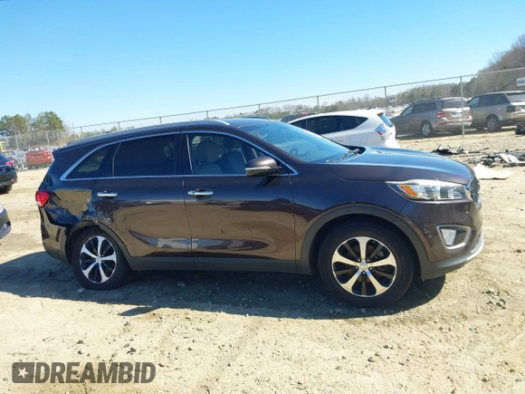 2016 Kia Sorento EX with VIN 5XYPH4A50GG043914, listed as a IAAI auction lot 41670153 with 113,121 mi miles. Bid and sale history available at carsss.com. Image 13.