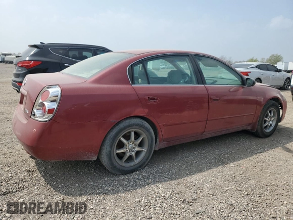 2005 Nissan Altima 2.5 S with VIN 1N4AL11D65C152850, listed as a Copart auction lot 49071625 with 232,349 mi miles and Salvage Title. Bid and sale history available at carsss.com. Image 3.
