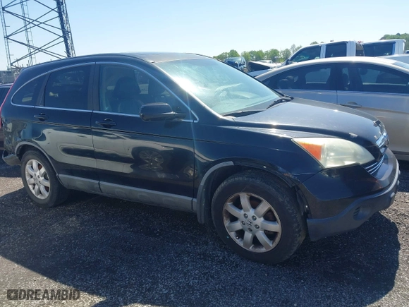 2009 Honda CR-V EX-L with VIN 5J6RE48749L018251, listed as a IAAI auction lot 41559710 with 1 mi miles. Bid and sale history available at carsss.com. Image 13.