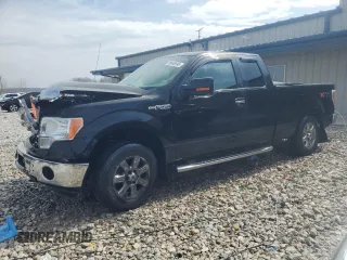 2013 Ford F-150 XL with VIN 1FTFX1EF3DKD66828, listed as a Copart auction lot 50648595 with 213,028 mi miles and Clean Title. Bid and sale history available at carsss.com. Image 1.