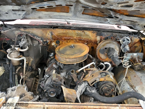 1986 Chevrolet Pickup with VIN 1GCDC14H3GF390811, listed as a Copart auction lot 44913565 with 0 mi miles and Salvage Title. Bid and sale history available at carsss.com. Image 11.