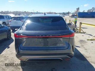 2024 Lexus RX 350 z VIN 2T2BAMBA3RC028022, wystawiony jako IAAI lot #41709161 z przebiegiem 15 945 mil mil oraz . Historia ofert i sprzedaży dostępna na DreamBid. Obrazek 16.