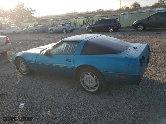 1995 Chevrolet Corvette with VIN 1G1YY22PXS5103328, listed as a Copart auction lot 78534044 with 0 mi miles and Non Repairable. Bid and sale history available at carsss.com. Image 2.