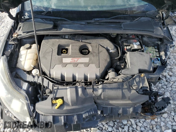 2014 Ford Focus ST with VIN 1FADP3L97EL344011, listed as a Copart auction lot 81901864 with Not Provided miles and Clean Title. Bid and sale history available at carsss.com. Image 11.