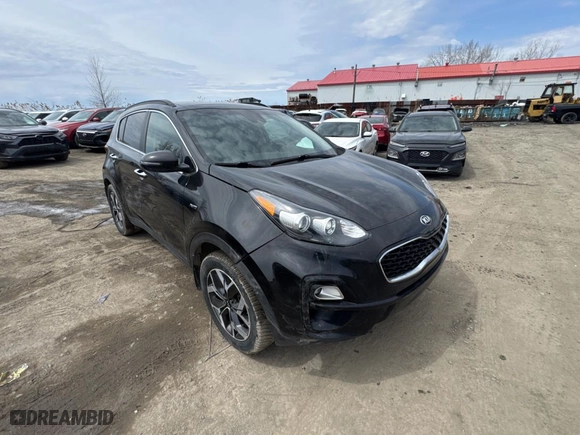 2020 Kia Sportage EX with VIN KNDPNCACXL7660326, listed as a Copart auction lot 54874135 with 222,224 mi miles and Salvage Title. Bid and sale history available at carsss.com. Image 1.