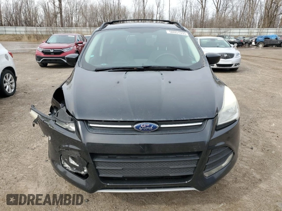 2014 Ford Escape SE with VIN 1FMCU9G99EUC91684, listed as a Copart auction lot 50951555 with 143,887 mi miles and Clean Title. Bid and sale history available at carsss.com. Image 5.