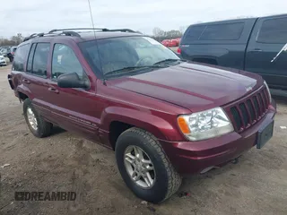 2000 Jeep Grand Cherokee Limited with VIN 1J4GW58N6YC106158, listed as a IAAI auction lot 42131323 with 171,776 mi miles and . Bid and sale history available at DreamBid. Image 1.