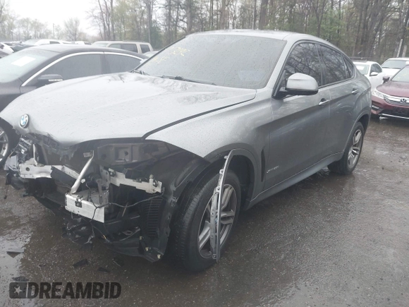 2017 BMW X6 xDrive50i with VIN 5UXKU6C56H0S99611, listed as a IAAI auction lot 41973292 with 117,123 mi miles. Bid and sale history available at carsss.com. Image 17.