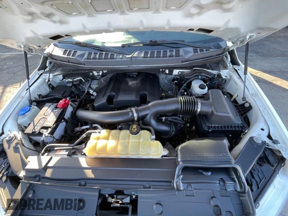 2019 Ford F-150 XL with VIN 1FTFW1E45KKD51312, listed as a Copart auction lot 49357265 with 142,521 mi miles and Clean Title. Bid and sale history available at DreamBid. Image 7.