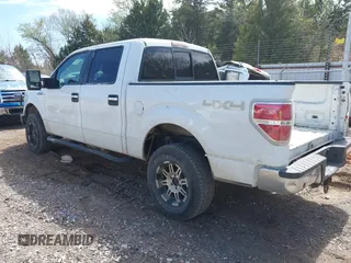 2011 Ford F-150 XL with VIN 1FTFW1EF8BFC01933, listed as a IAAI auction lot 41870275 with 293,384 mi miles and . Bid and sale history available at DreamBid. Image 3.