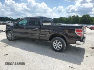 2013 Ford F-150 XL with VIN 1FTFW1EF1DFB70494, listed as a Copart auction lot 61549945 with 124,216 mi miles and Salvage title. Bid and sale history available at DreamBid. Image 2.