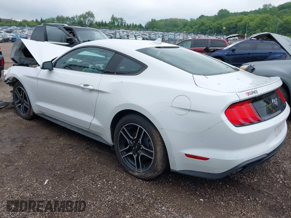 2023 Ford Mustang EcoBoost z VIN 1FA6P8TH4P5102314, wystawiony jako IAAI lot #42424637 z przebiegiem 48 353 mil mil oraz . Historia ofert i sprzedaży dostępna na DreamBid. Obrazek 3.