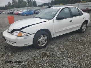 2000 Chevrolet Cavalier z VIN 3G1JC5243YS131221, wystawiony jako Copart lot #57304825 z przebiegiem 227 352 mil mil oraz Szkoda całkowita • Salvage title. Historia ofert i sprzedaży dostępna na DreamBid. Obrazek 1.
