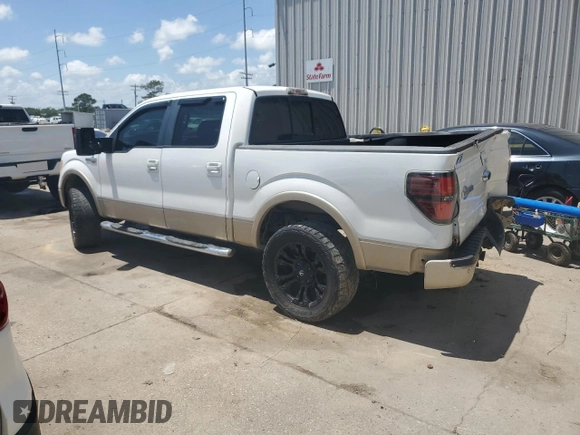 2009 Ford F-150 XL with VIN 1FTPW14VX9KA17124, listed as a Copart auction lot 55144375 with 257,748 mi miles and Salvage title. Bid and sale history available at DreamBid. Image 2.