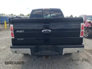 2009 Ford F-150 XL with VIN 1FTPW14V09FB25728, listed as a Copart auction lot 61993255 with 342,183 mi miles and Salvage title. Bid and sale history available at DreamBid. Image 6.