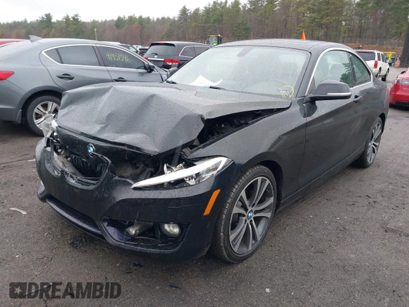 2016 BMW 2 Series 228i xDrive with VIN WBA1G9C59GV726011, listed as a IAAI auction lot 41966646 with 122,487 mi miles and . Bid and sale history available at DreamBid. Image 17.