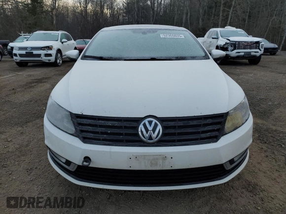 2013 Volkswagen CC Sport с VIN WVWAN7AN6DE538025, выставлен на аукционе Copart как лот 52365035 с пробегом 254 210 миль миль и Списание • Salvage title. История ставок и продаж доступна на DreamBid. Изображение 5.