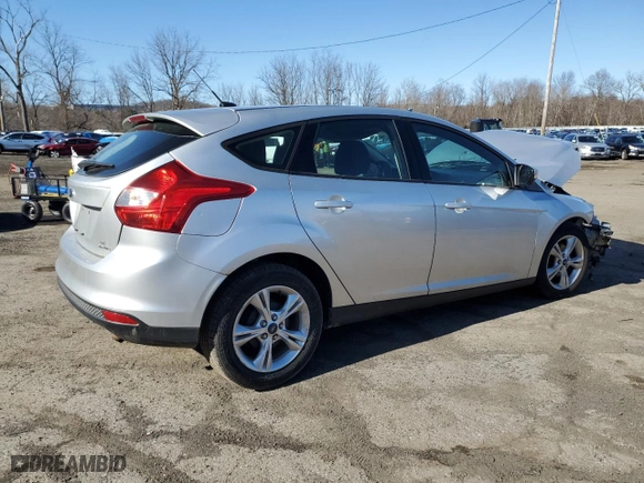 2013 Ford Focus SE with VIN 1FADP3K24DL287530, listed as a Copart auction lot 49607615 with 0 mi miles and Salvage Title. Bid and sale history available at carsss.com. Image 3.