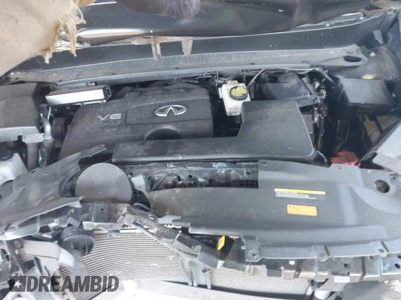 2020 Infiniti QX60 Pure with VIN 5N1DL0MM5LC513491, listed as a IAAI auction lot 41538271 with Not provided miles and . Bid and sale history available at DreamBid. Image 10.