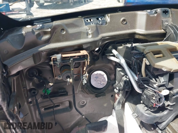 2019 Dodge Charger Scat Pack with VIN 2C3CDXGJ0KH635697, listed as a IAAI auction lot 41924121 with Not Provided miles and . Bid and sale history available at DreamBid. Image 14.