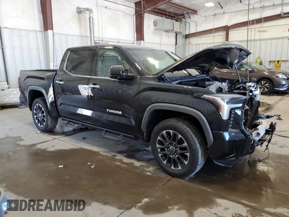 2024 Toyota Tundra Limited with VIN 5TFJA5DB4RX229828, listed as a Copart auction lot 60220935 with 10,738 mi miles and Salvage title. Bid and sale history available at DreamBid. Image 4.