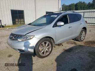 2013 Nissan Murano LE with VIN JN8AZ1MU9DW206289, listed as a Copart auction lot 74847374 with 131,287 mi miles and Salvage Title. Bid and sale history available at DreamBid. Image 1.