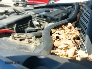 2005 Honda Accord EX with VIN 1HGCM56745A128019, listed as a IAAI auction lot 43319708 with 193,707 mi miles and . Bid and sale history available at DreamBid. Image 19.