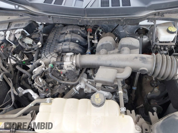 2021 Ford F-150 XL with VIN 1FTEX1EBXMKE25558, listed as a IAAI auction lot 41964121 with 31,488 mi miles and . Bid and sale history available at DreamBid. Image 10.