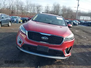 2017 Kia Sorento EX with VIN 5XYPHDA51HG313606, listed as a IAAI auction lot 41203028 with 46 mi miles and . Bid and sale history available at DreamBid. Image 19.