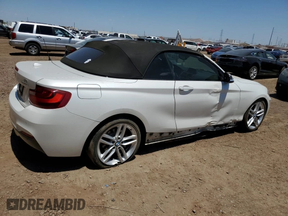 2016 BMW 2 Series 228i with VIN WBA1K9C54GV322418, listed as a Copart auction lot 51099483 with 105,804 mi miles. Bid and sale history available at carsss.com. Image 3.