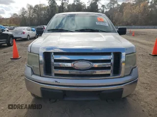 2009 Ford F-150 XL with VIN 1FTPX14V49KC15906, listed as a Copart auction lot 83624494 with 264,979 mi miles and Salvage Title. Bid and sale history available at carsss.com. Image 5.