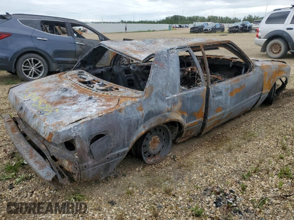 1989 Ford Mustang with VIN 1FABP40A8KF261788, listed as a Copart auction lot 59405875 with Not provided miles and Non repairable. Bid and sale history available at DreamBid. Image 3.