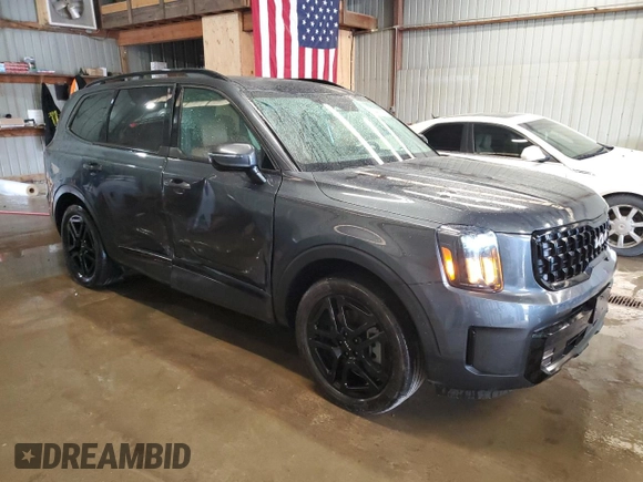 2024 Kia Telluride SX Prestige X-Line with VIN 5XYP5DGC2RG522580, listed as a Copart auction lot 54481275 with 14,066 mi miles and Salvage title. Bid and sale history available at DreamBid. Image 4.