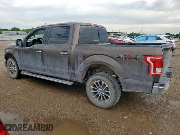 2016 Ford F-150 XLT with VIN 1FTEW1EF3GKD36571, listed as a Copart auction lot 59900635 with 205,664 mi miles and Salvage title. Bid and sale history available at DreamBid. Image 2.