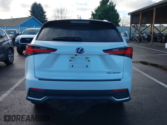 2020 Lexus NX with VIN JTJGJRDZXL5002870, listed as a IAAI auction lot 41104997 with 48,856 mi miles. Bid and sale history available at carsss.com. Image 17.