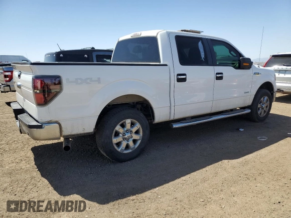 2013 Ford F-150 XL with VIN 1FTFW1ET0DKG28880, listed as a Copart auction lot 52235305 with 229,066 mi miles and Clean Title. Bid and sale history available at carsss.com. Image 3.