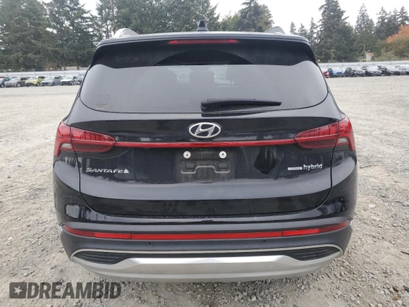 2022 Hyundai Santa Fe Hybrid SEL Premium with VIN KM8S3DA11NU029629, listed as a Copart auction lot 75606294 with 44,110 mi miles and Salvage Title. Bid and sale history available at carsss.com. Image 6.