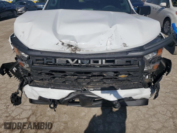 2024 Chevrolet Silverado 1500 Custom with VIN 3GCPABEK5RG222754, listed as a Copart auction lot 53932094 with 4,307 mi miles and Salvage Title. Bid and sale history available at DreamBid. Image 13.