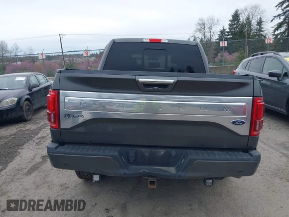 2015 Ford F-150 XLT with VIN 1FTEW1EGXFFC41635, listed as a IAAI auction lot 41765722 with 128,844 mi miles. Bid and sale history available at carsss.com. Image 16.