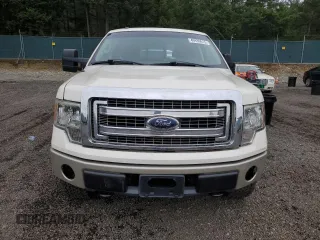 2009 Ford F-150 XL with VIN 1FTPW14V89KC35465, listed as a Copart auction lot 49930615 with 165,726 mi miles and Clean Title. Bid and sale history available at carsss.com. Image 5.