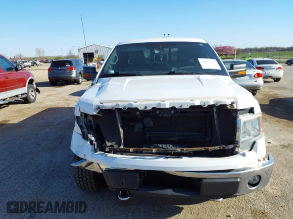 2012 Ford F-150 XL with VIN 1FTFX1ET2CFA74133, listed as a IAAI auction lot 42052273 with 223,019 mi miles and . Bid and sale history available at DreamBid. Image 13.