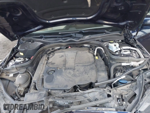 2016 Mercedes-Benz E 350 Luxury with VIN WDDHF8JB8GB207711, listed as a IAAI auction lot 40965766 with 106,931 mi miles and . Bid and sale history available at DreamBid. Image 10.