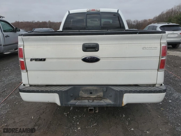 2009 Ford F-150 STX with VIN 1FTRX14819FB03026, listed as a Copart auction lot 81045064 with 164,919 mi miles and Salvage Title. Bid and sale history available at carsss.com. Image 6.